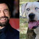 Illustration for article titled Hey, Quick Question: Why Does This Dog Look Exactly Like John Travolta